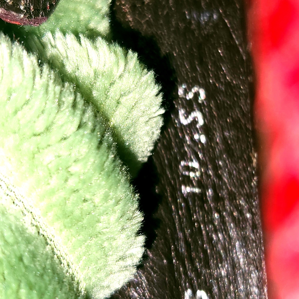 Stuart Weitzman Red Snakeskin Women's Slip-On Loafers w/Glossy Finish Sz. 10.5 - Picture 9 of 16